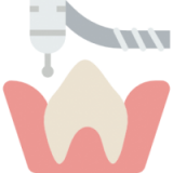 Research Guides in Dentistry and Otolaryngology