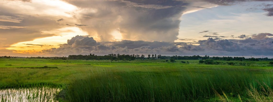 Research Guides in Envionment Science