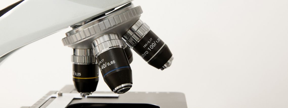 Research Guides in Neurology and Nervous System