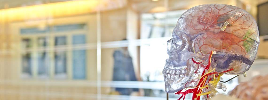 Research Guides in Diseases and Medical Research